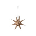 Stern S Braun/Rot D20 cm